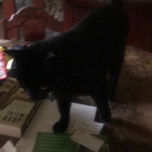 Meet your Posher, Debra